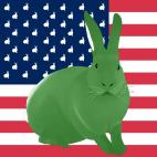 VERT-AMANDE-FLAG MARRON GLACE FLAG rabbit flag Showroom - Inkjet on plexi, limited editions, numbered and signed. Wildlife painting Art and decoration. Click to select an image, organise your own set, order from the painter on line